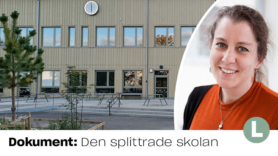 Forskaren: Svensk skola bättre än många tror