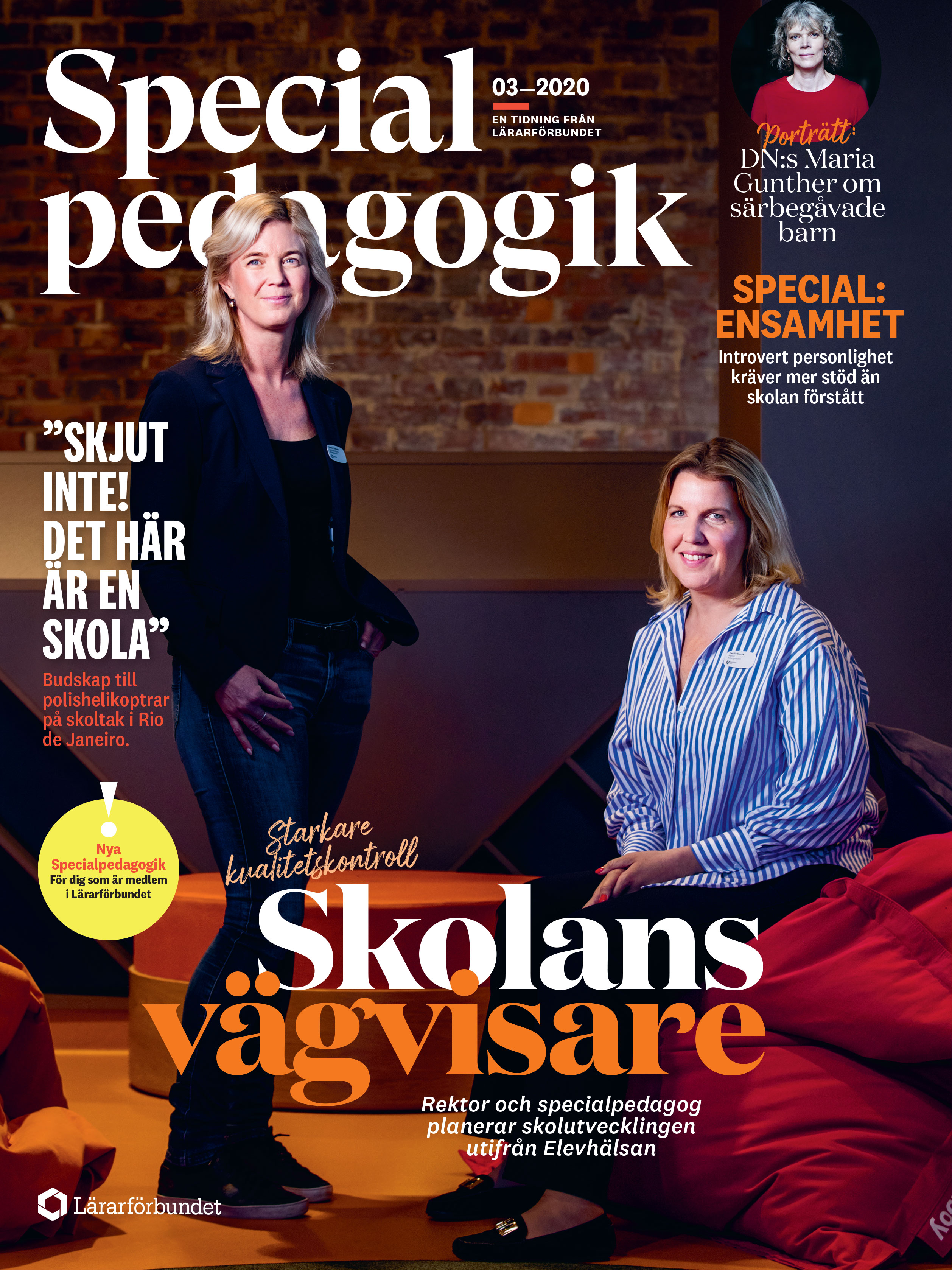 omslag-specialpedagogik.jpg