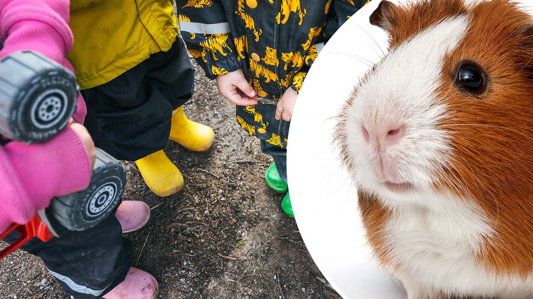 En bild av barn i leriga stövlar, med uteleksaker i händerna. Man ser inte deras ansikten och en genrebild av ett marsvin