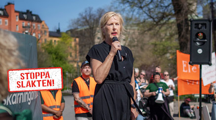 Åsa Fahlén, ordförande för Sveriges Lärare, varnade för de växande skillnaderna mellan olika kommuner och skolor under manifestationen i Fatbursparken i Stockholm..
