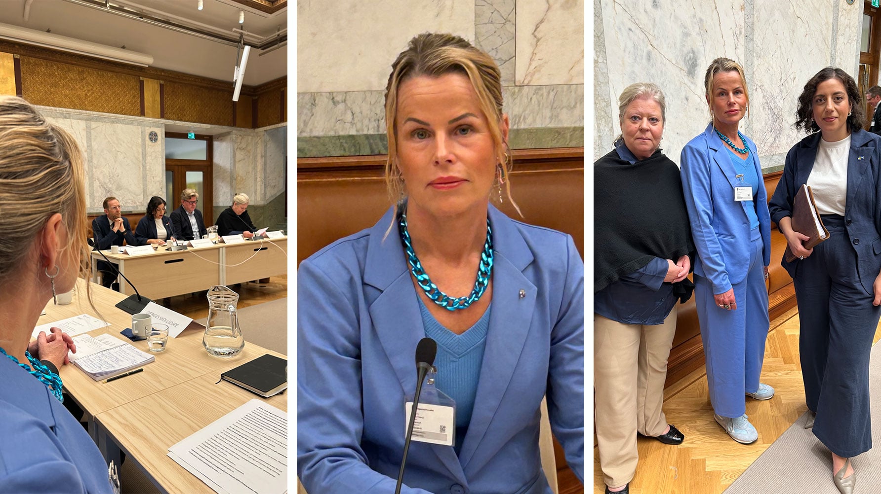 En tredelad bild: Till vänster Anna Olskog, i mitten Jakob Forssmed, Simona Mohamsson, Gunnar Strömmer och Camilla Waltersson Grönvall